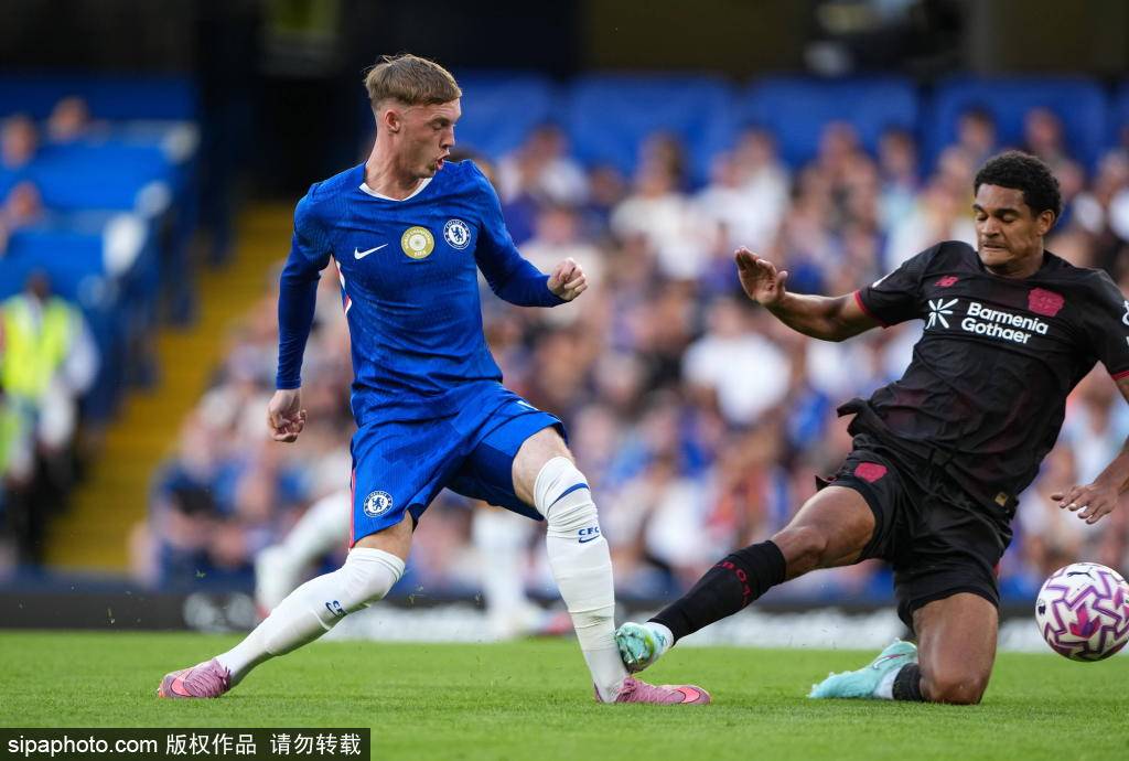 罗同样以, 判能力 罗同样以, 判能力